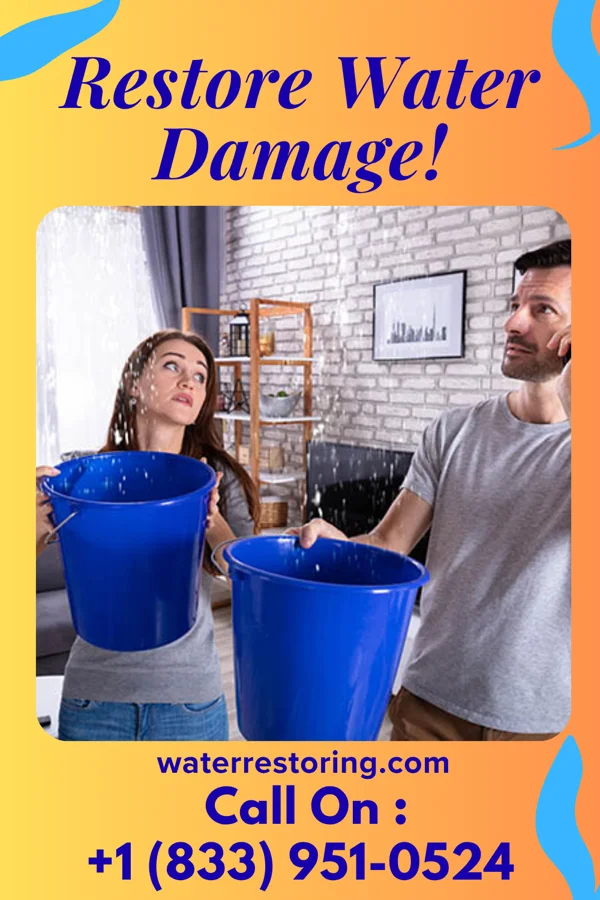water restoration Shield Water Restoration Services Wilkinsburg