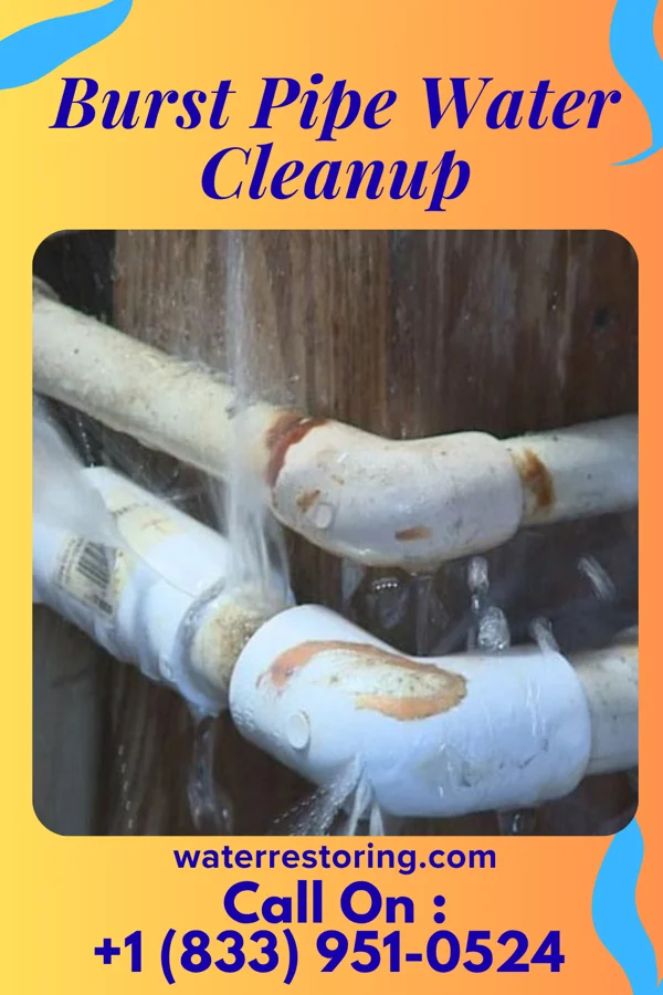 Burst Pipe Water Cleanup in Wilkinsburg, PA