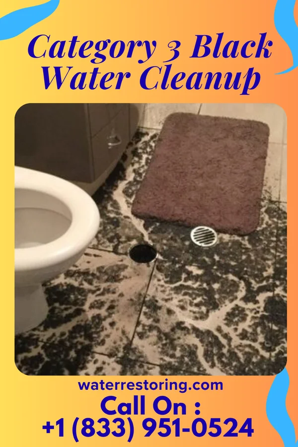 Category 3 Black Water Cleanup in Wilkinsburg, PA