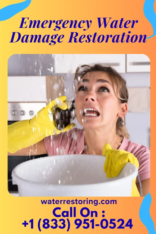 Emergency Water Damage Restoration in Wilkinsburg, PA