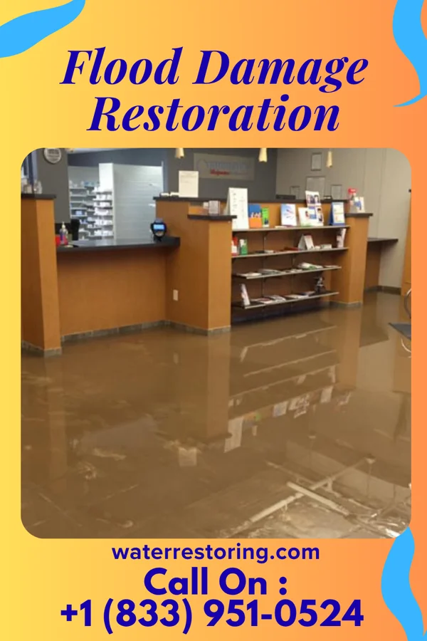 Flood Damage Restoration in Wilkinsburg, PA