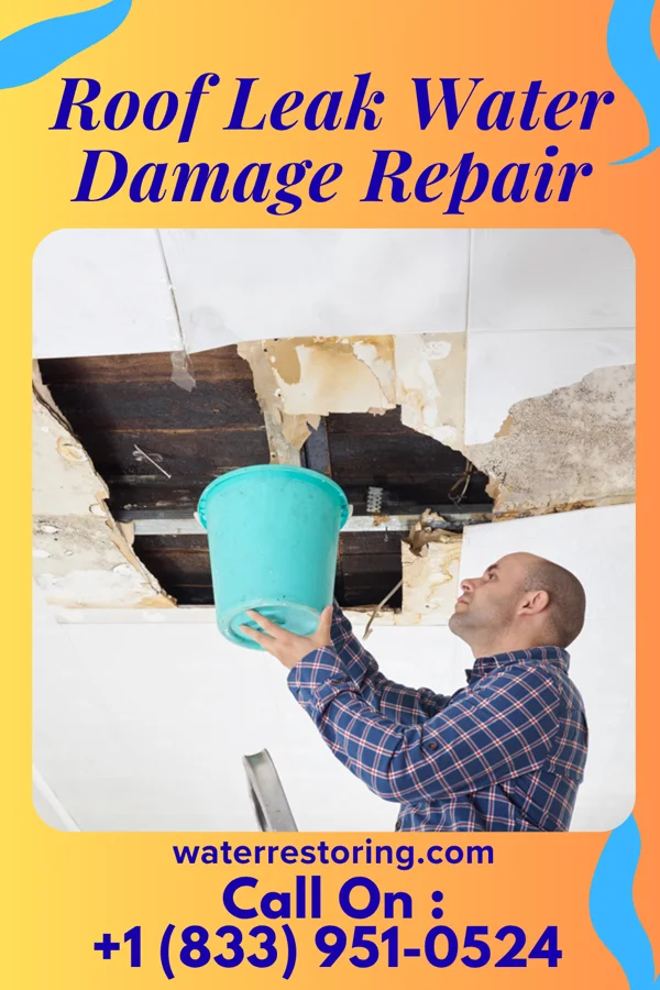 Roof Leak Water Damage Repair in Wilkinsburg, PA