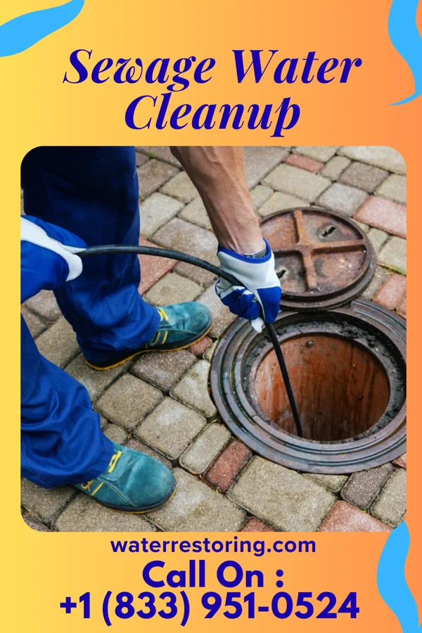 Sewage Water Cleanup in Wilkinsburg, PA