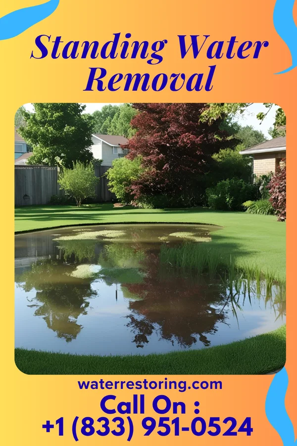 Standing Water Removal in Wilkinsburg, PA